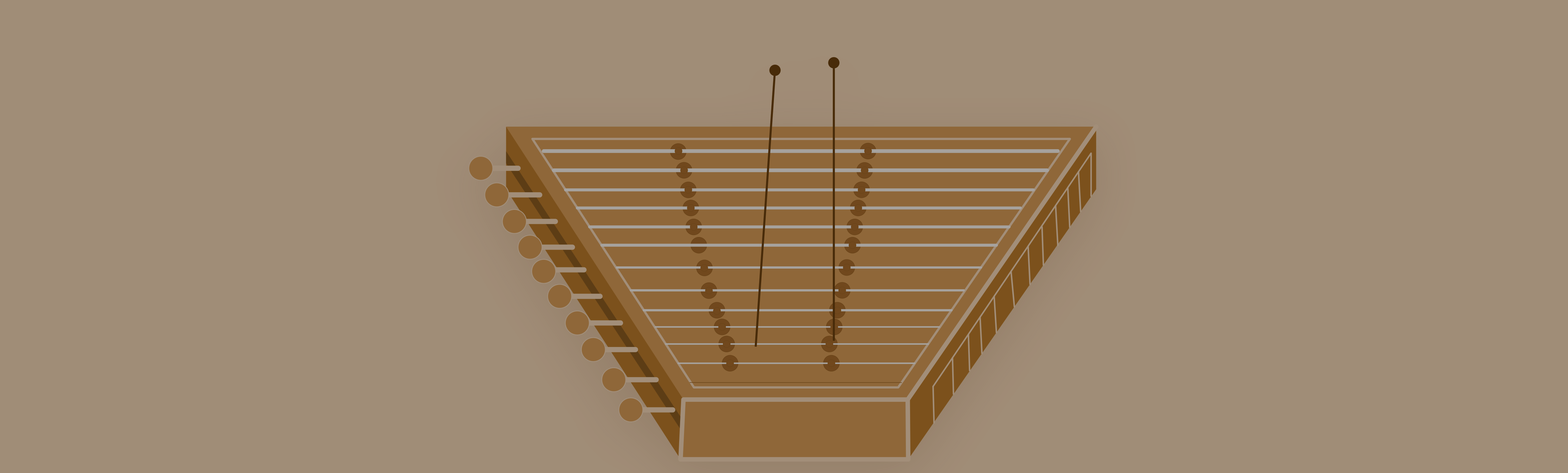 How To Hold a Persian Santoor Mezrab