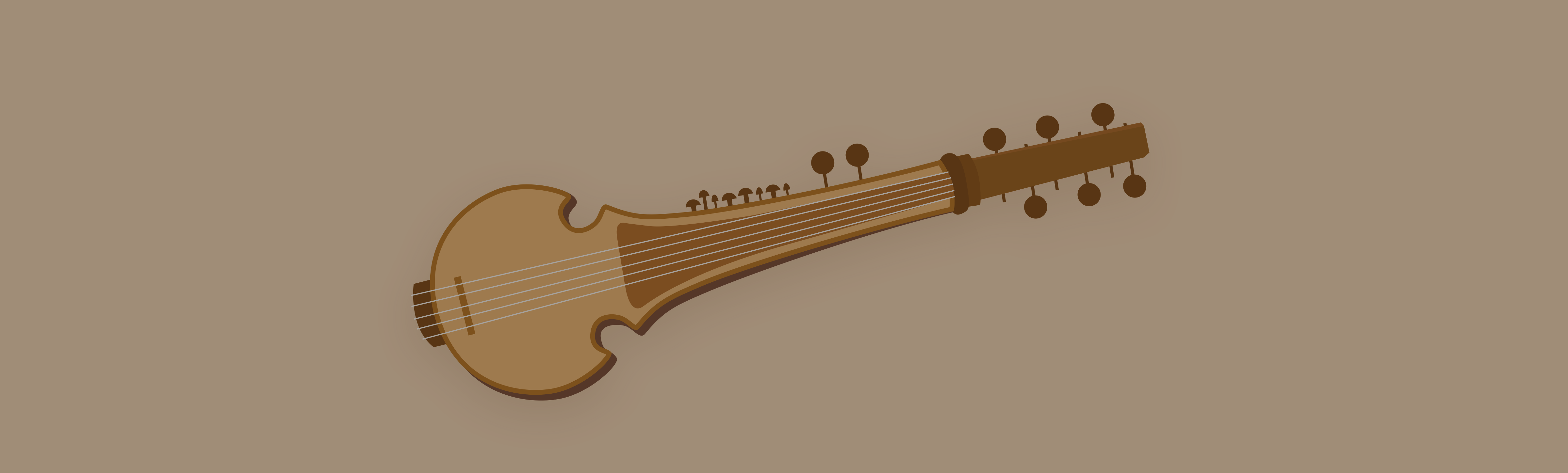 Sarod Instrument