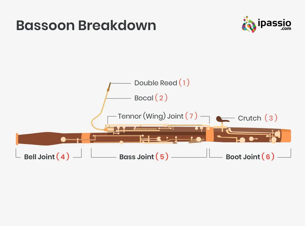 bassoon diagram