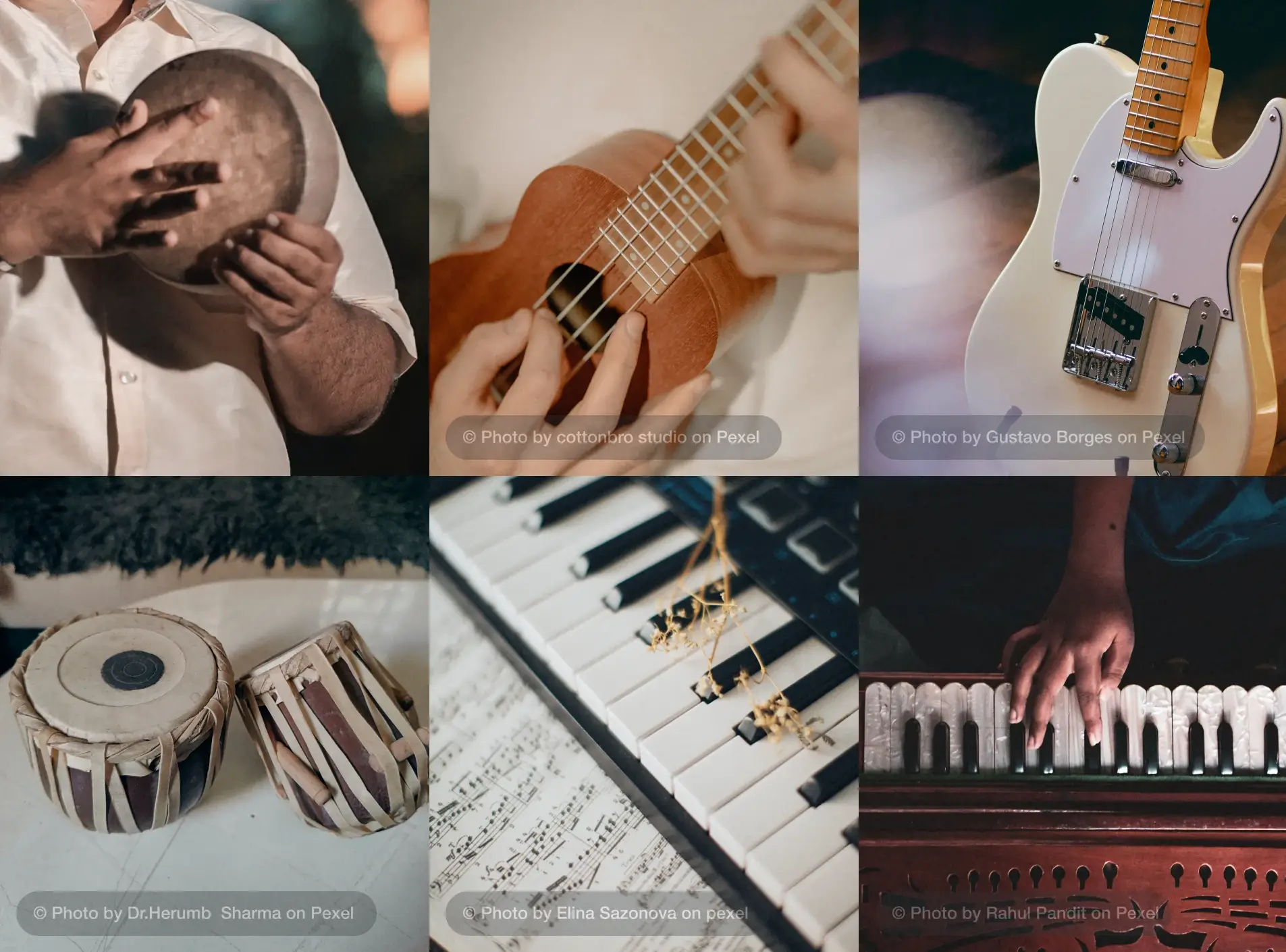 Easiest Musical Instruments to Learn