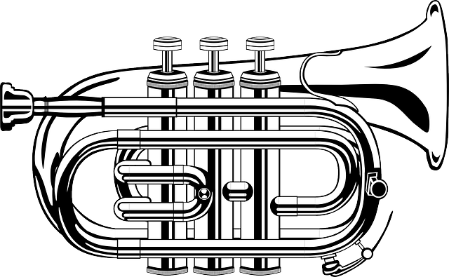 Brass instrument - Wikipedia