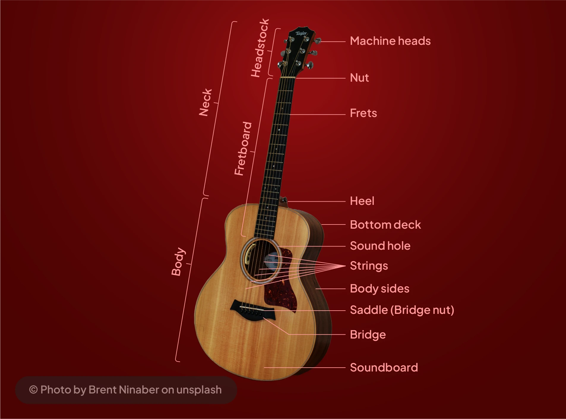 parts of an acoustic guitar