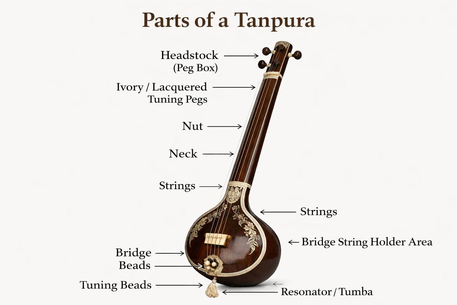 Parts of a Tanpura Parts of a Tanpura