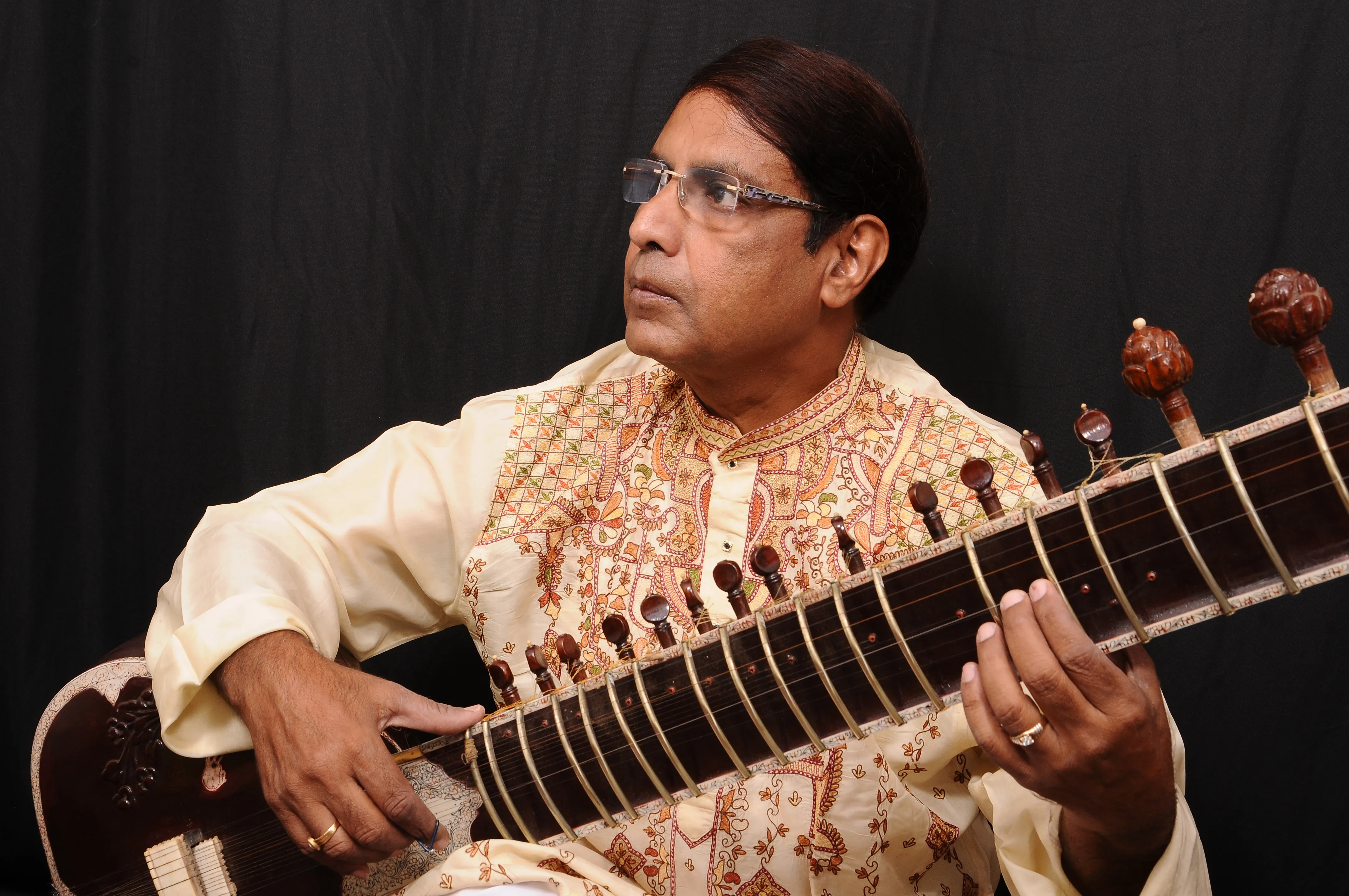 Beginners Sitar lessons with Dr. Jayant Das on ipassio